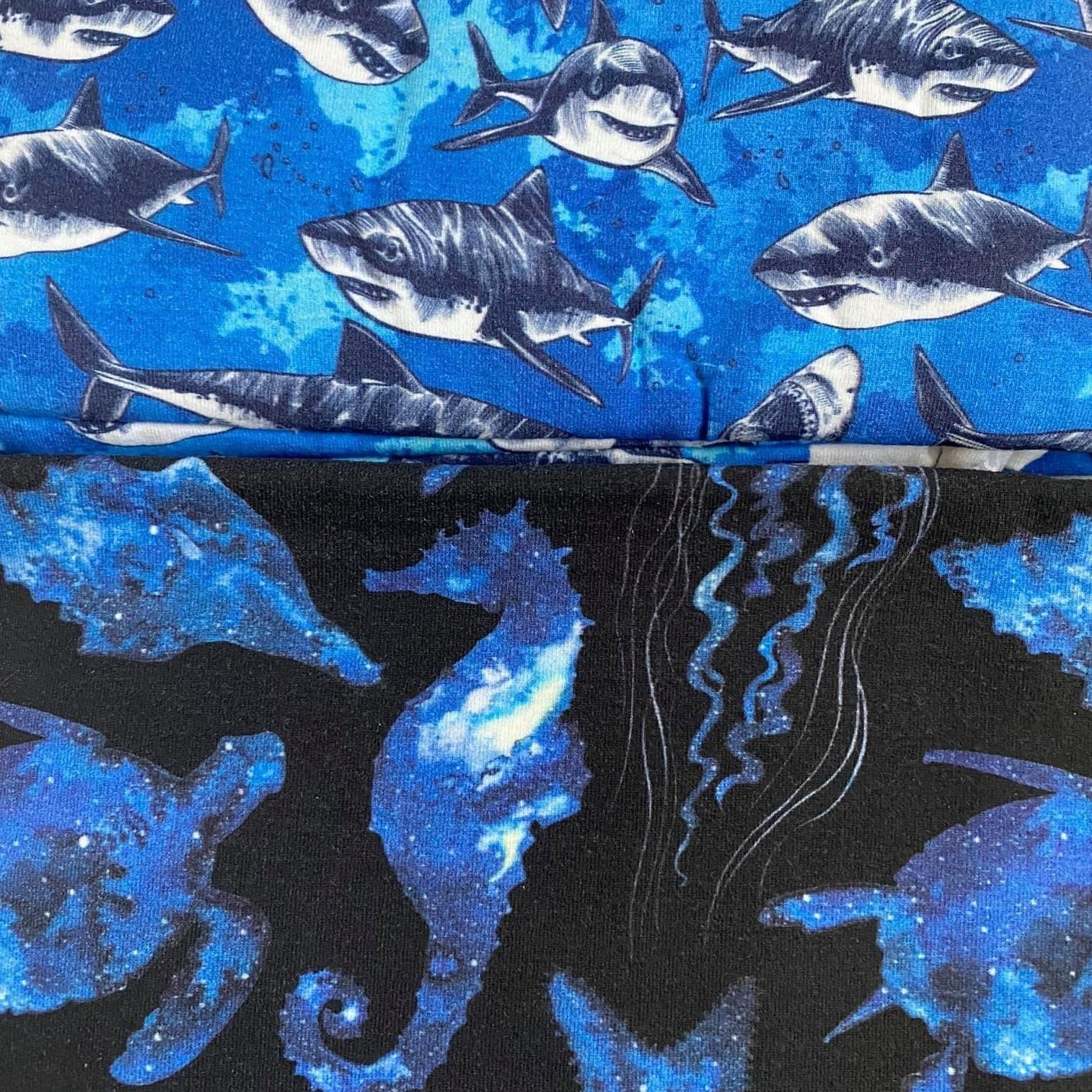 Shark & Sea Creatures Tank